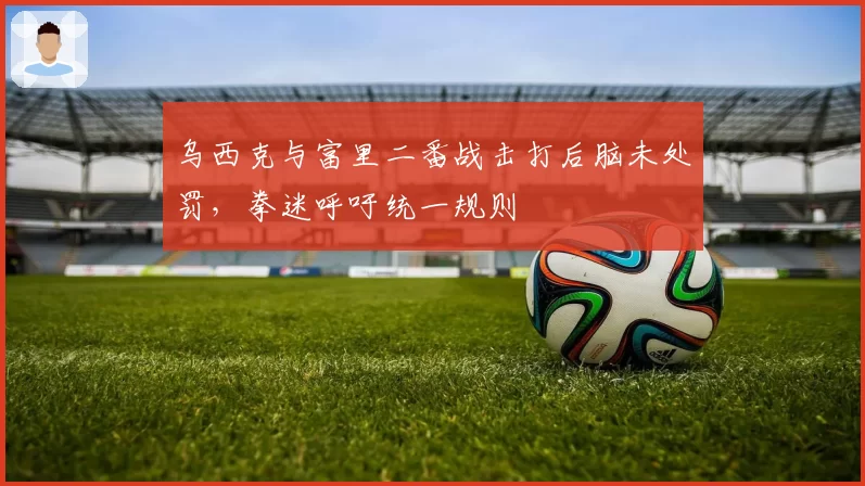 乌西克与富里二番战击打后脑未处罚,拳迷呼吁统一规则